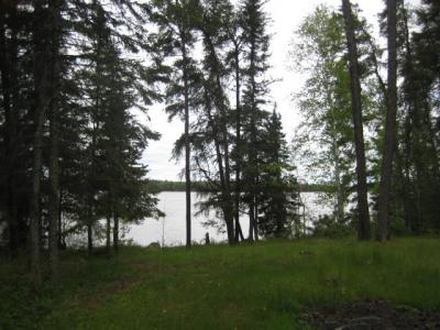 Loonhaunt Lake - Lake of the Woods Real Estate