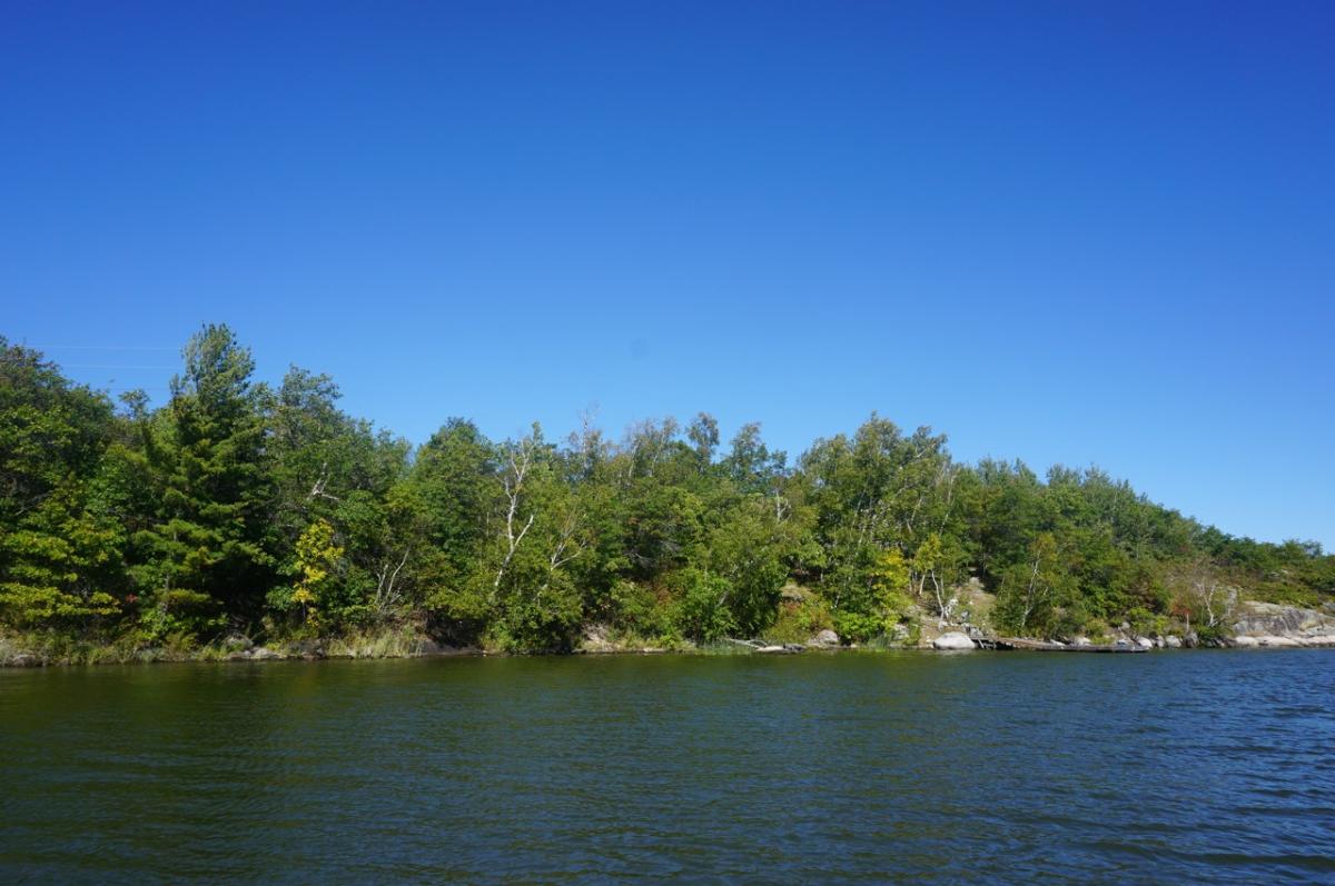 MORSON ONTARIO - Lake of the Woods Real Estate